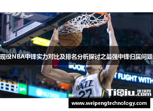 现役NBA中锋实力对比及排名分析探讨之最强中锋归属问题