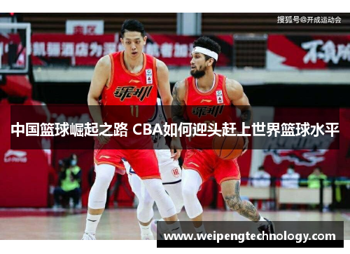 中国篮球崛起之路 CBA如何迎头赶上世界篮球水平