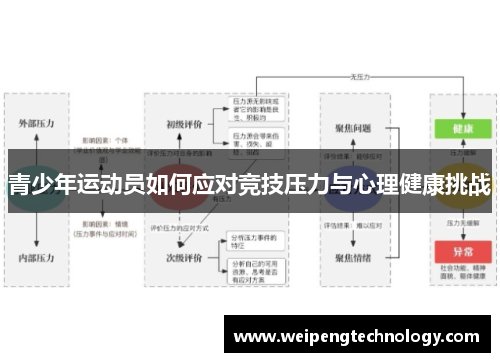 青少年运动员如何应对竞技压力与心理健康挑战